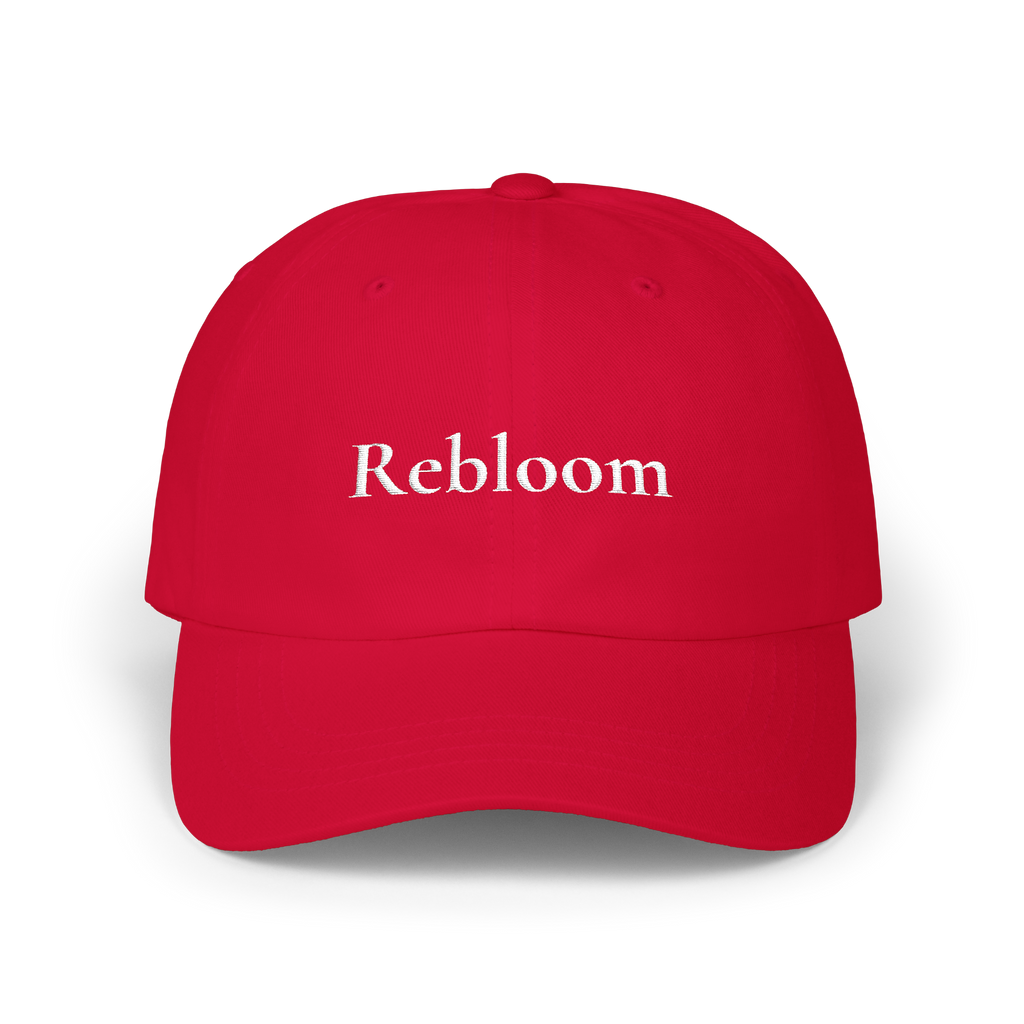 ReBloom Dad Cap Embroidered Multi Color Ops