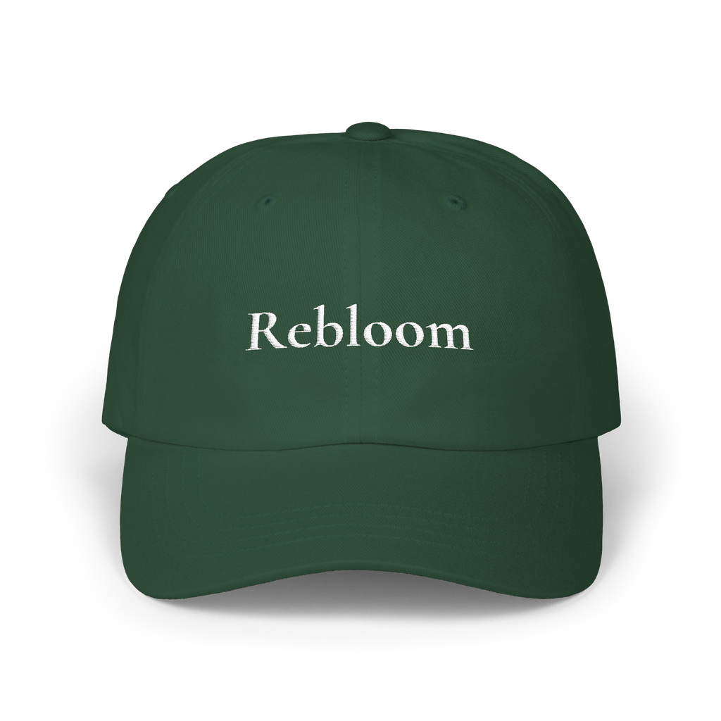 ReBloom Dad Cap Embroidered Multi Color Ops
